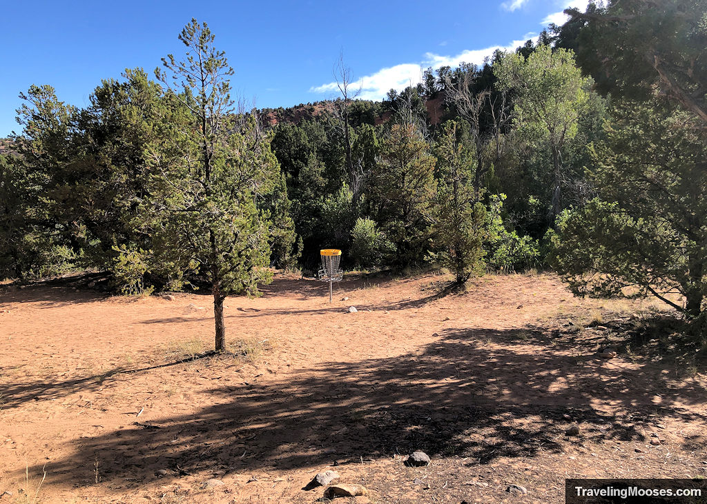 Disc golf course in the distance surrounded by trees