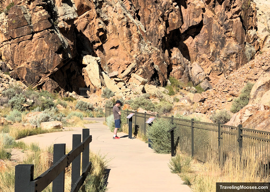 Man looking at petroglyphs from a walking trail