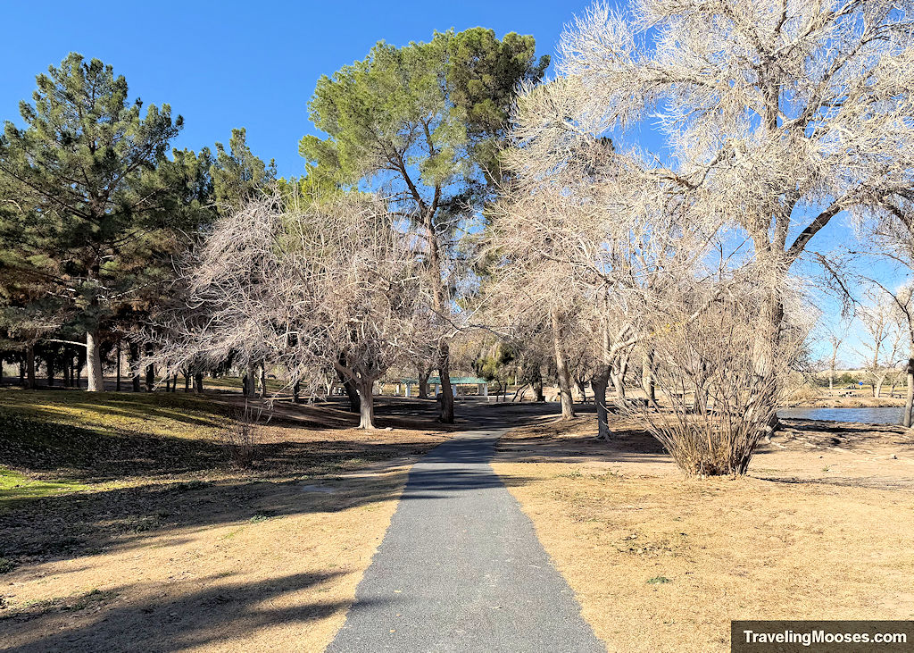 A concrete path leading through a park towards a stand of trees