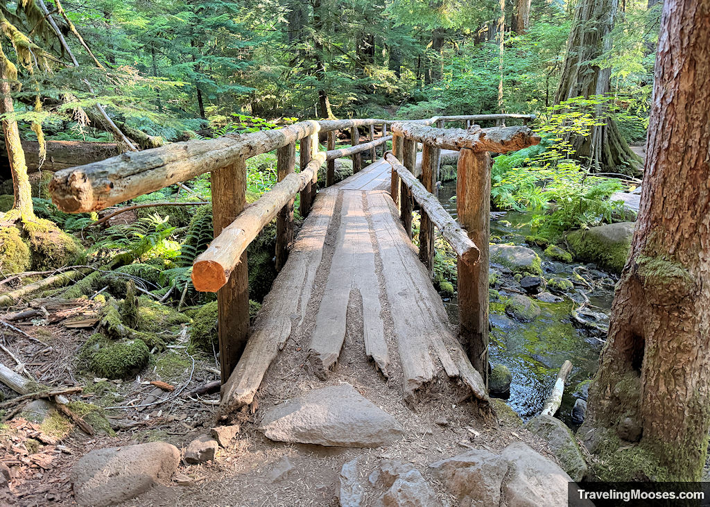 Wooden Foot bridge over a small stream in a forest