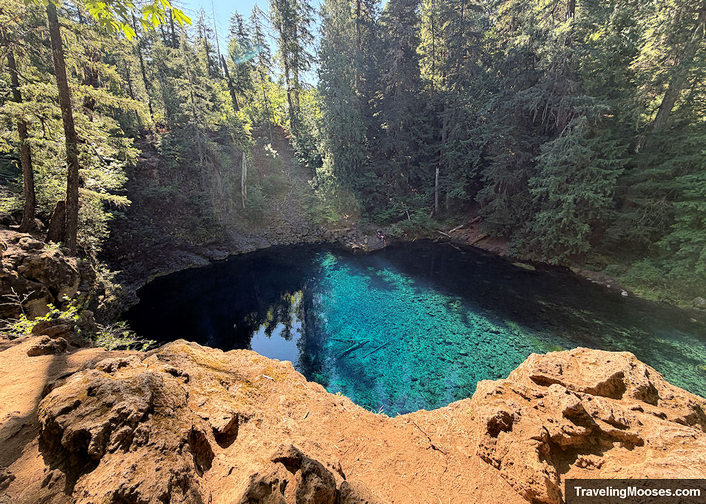 Blue pool surrounding by a forest