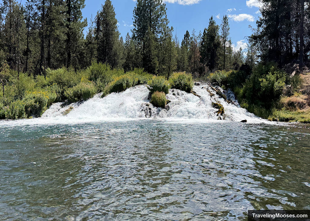 Small waterfall surrounded by trees