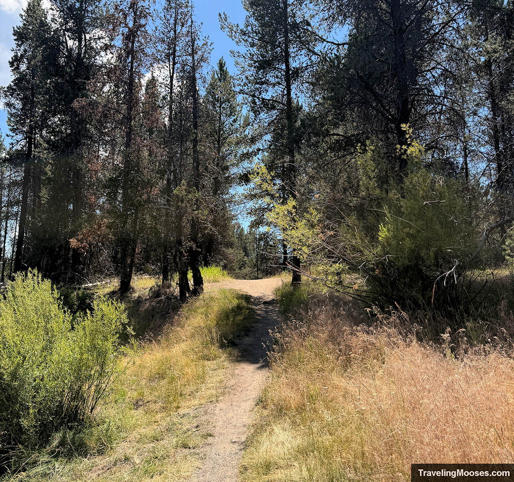 Fall River Trail