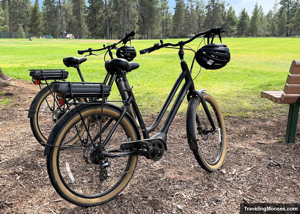 Two black ebikes parked near a green grass park