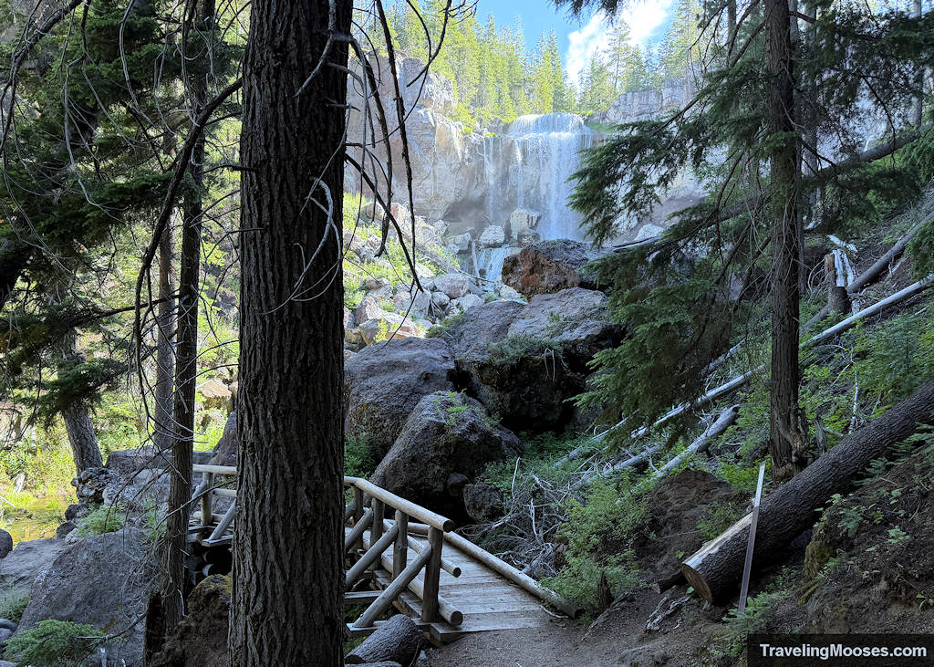 Trail meandering through a forest to a wooden bridge and a waterfall