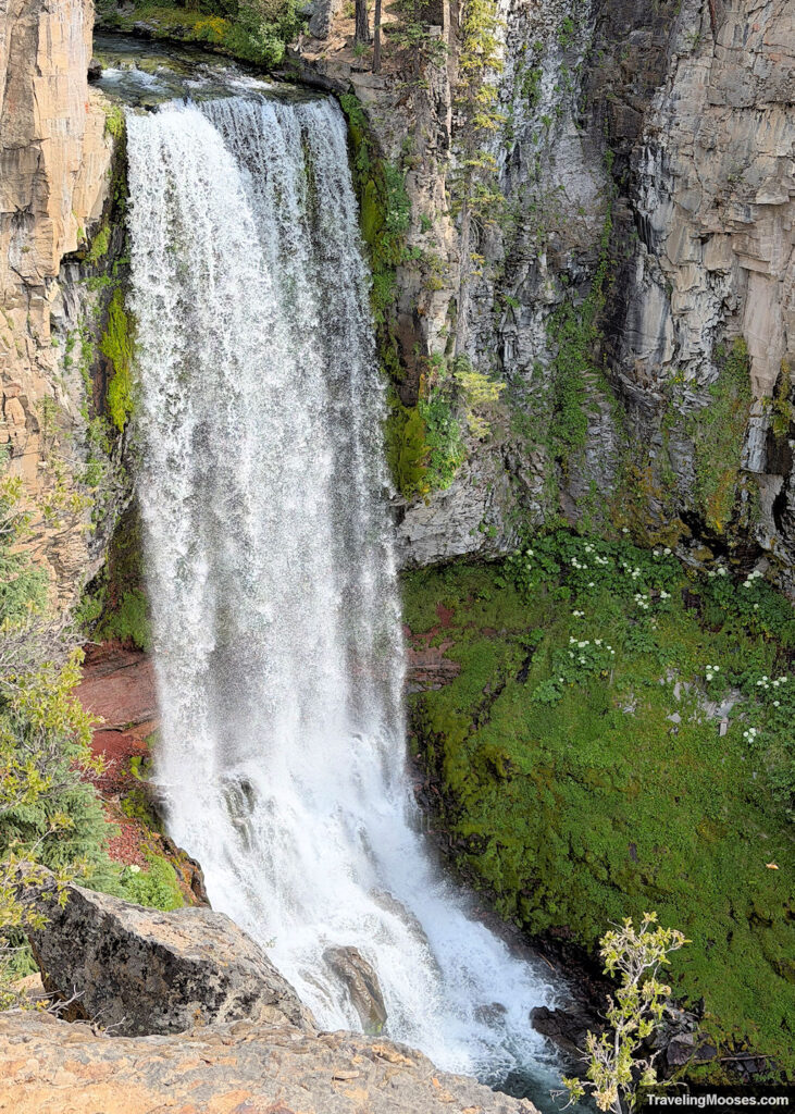 Lush waterfall cascading over a canyon