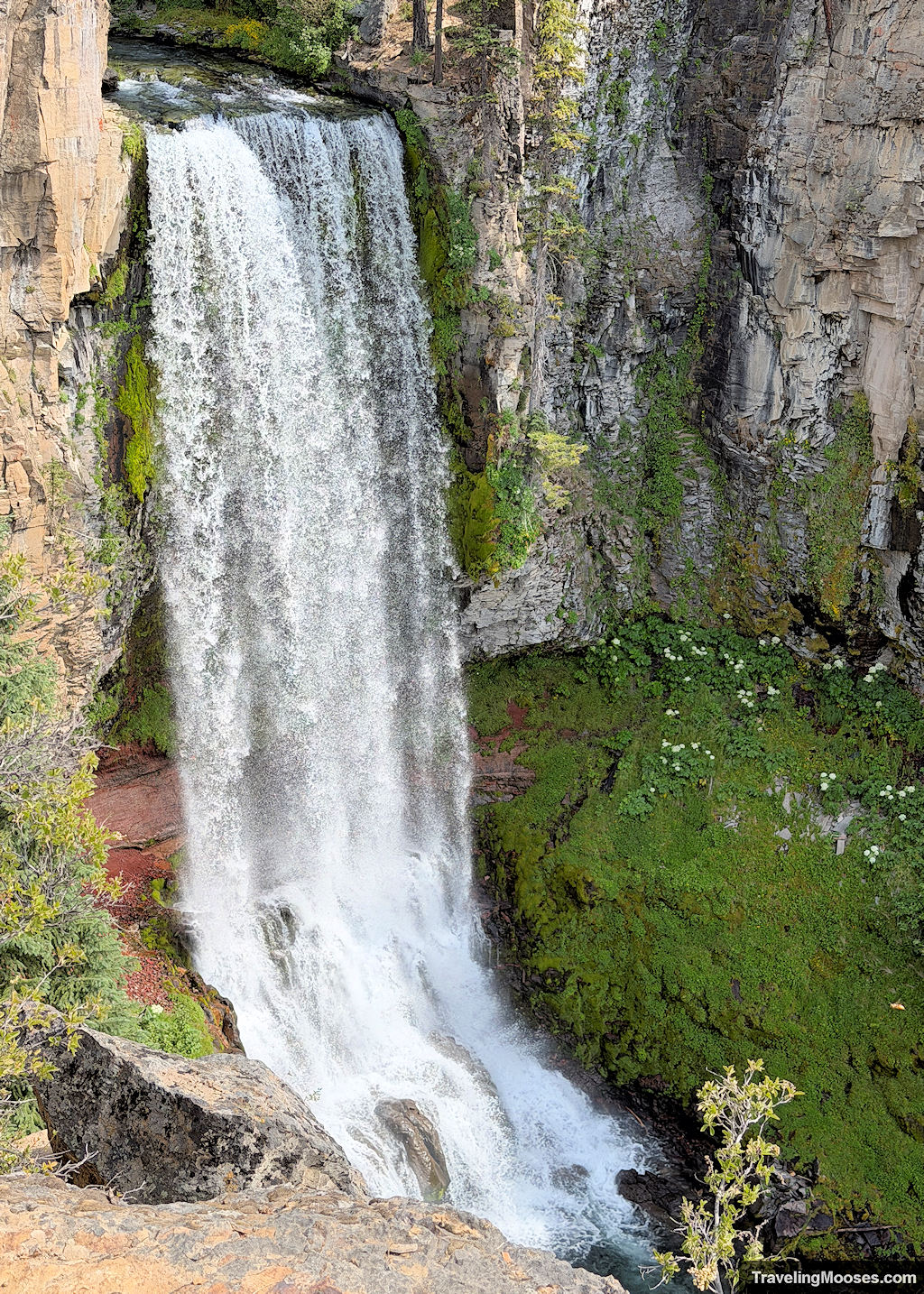 Lush waterfall cascading over a canyon
