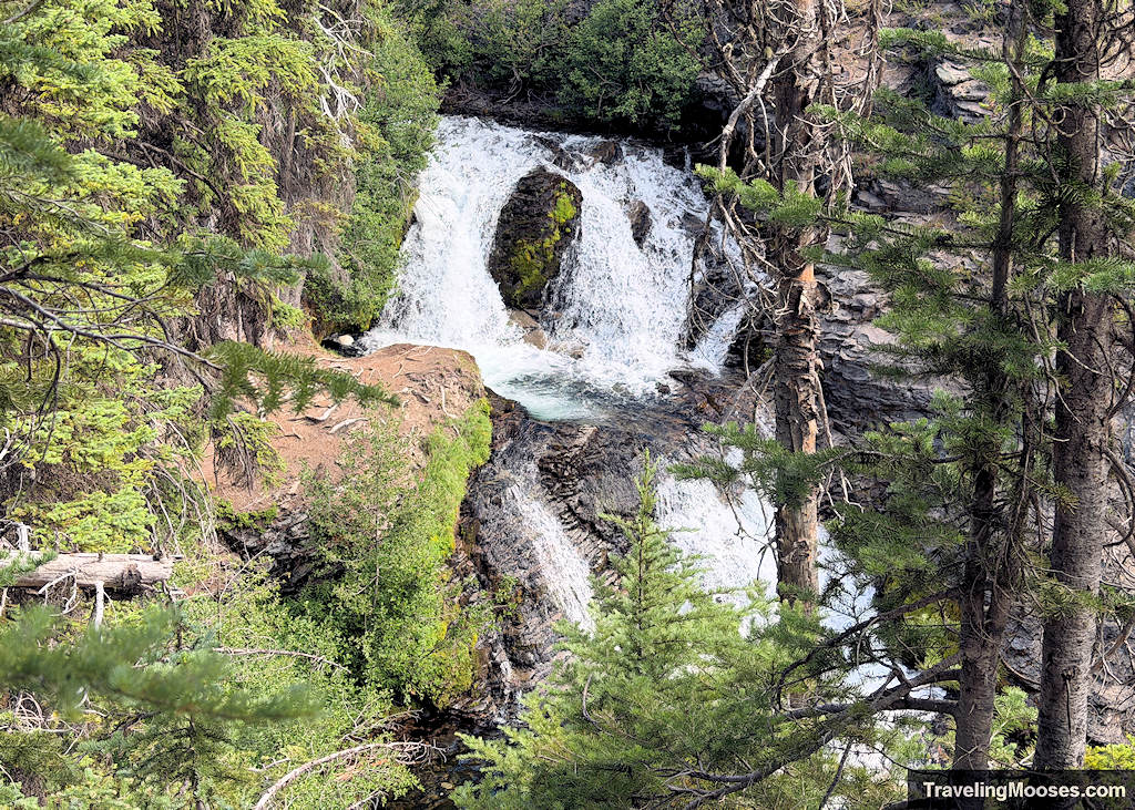 Cascading waterfalls hidden behind trees