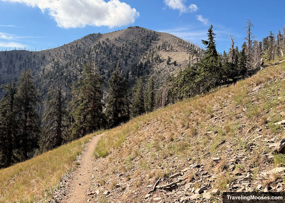 Large mountain towering over dirt path