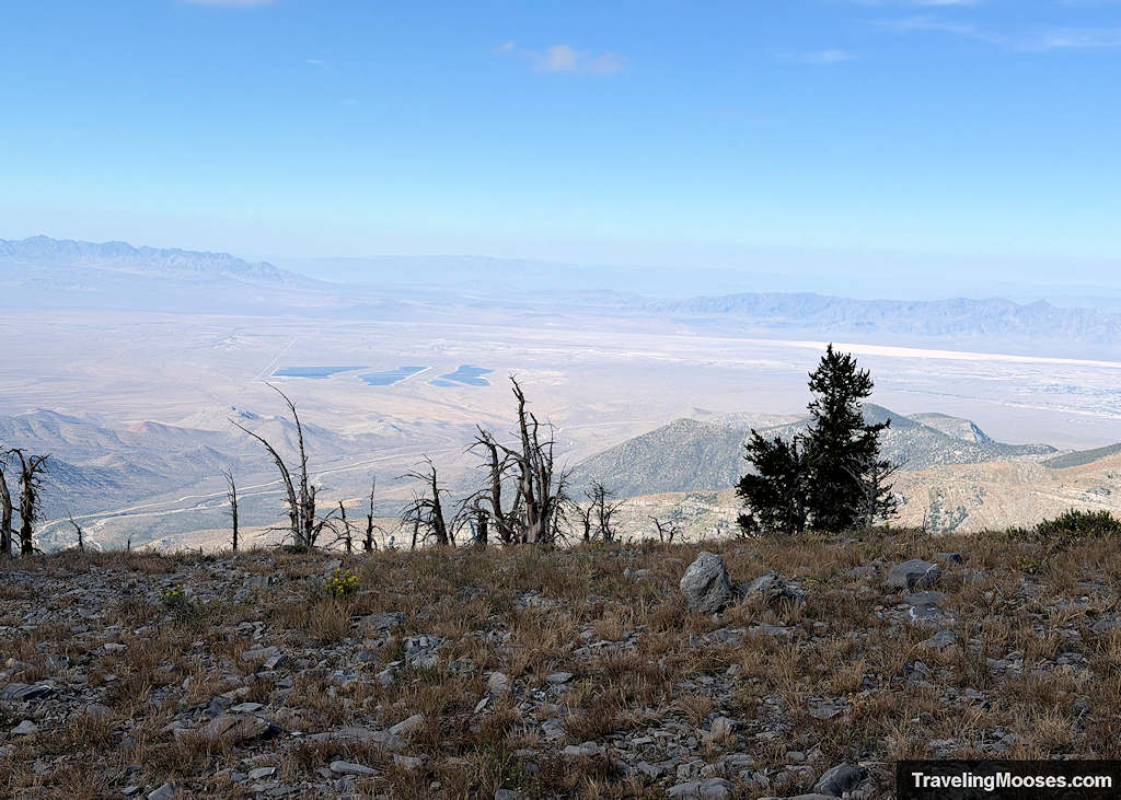 View of the desert valley floor