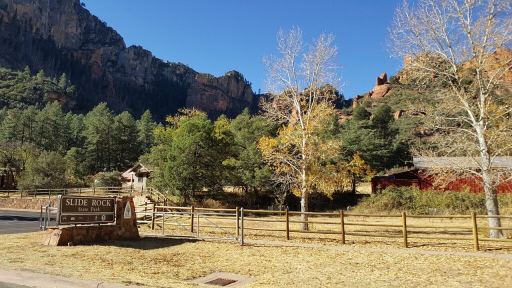 Fall color November 8, 2017 in Oak Creek Canyon, along Arizona State Route 89A north of Sedona, Arizona.