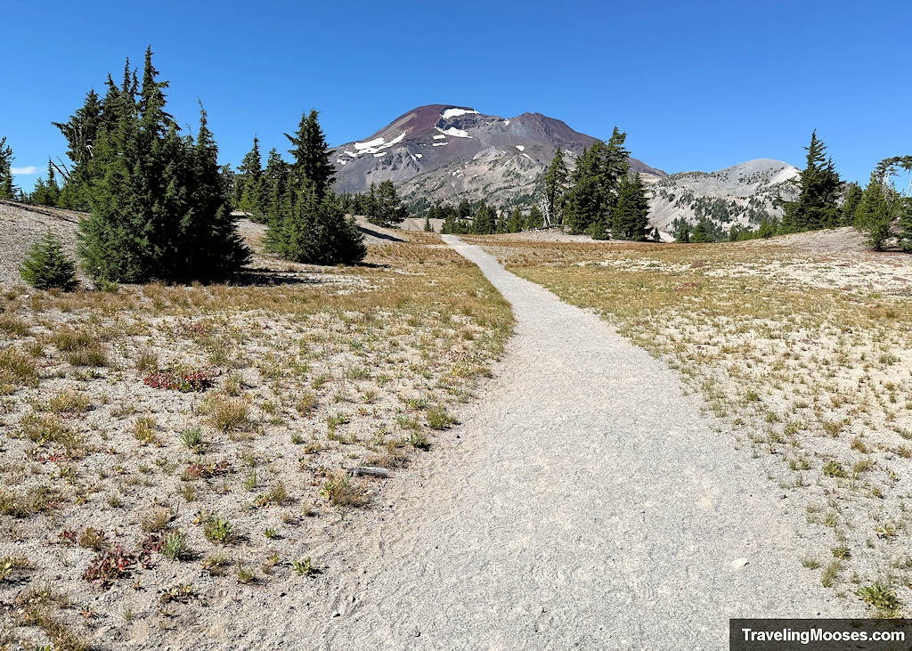 Meadow area