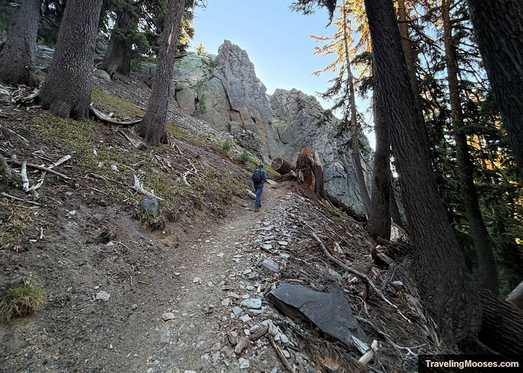 Man walking up a steep and rocky forest path