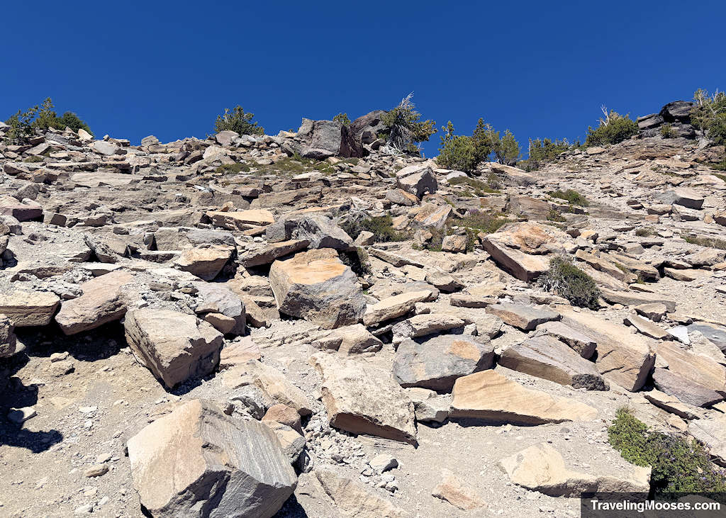 Rocks up a hill side with no visible trail