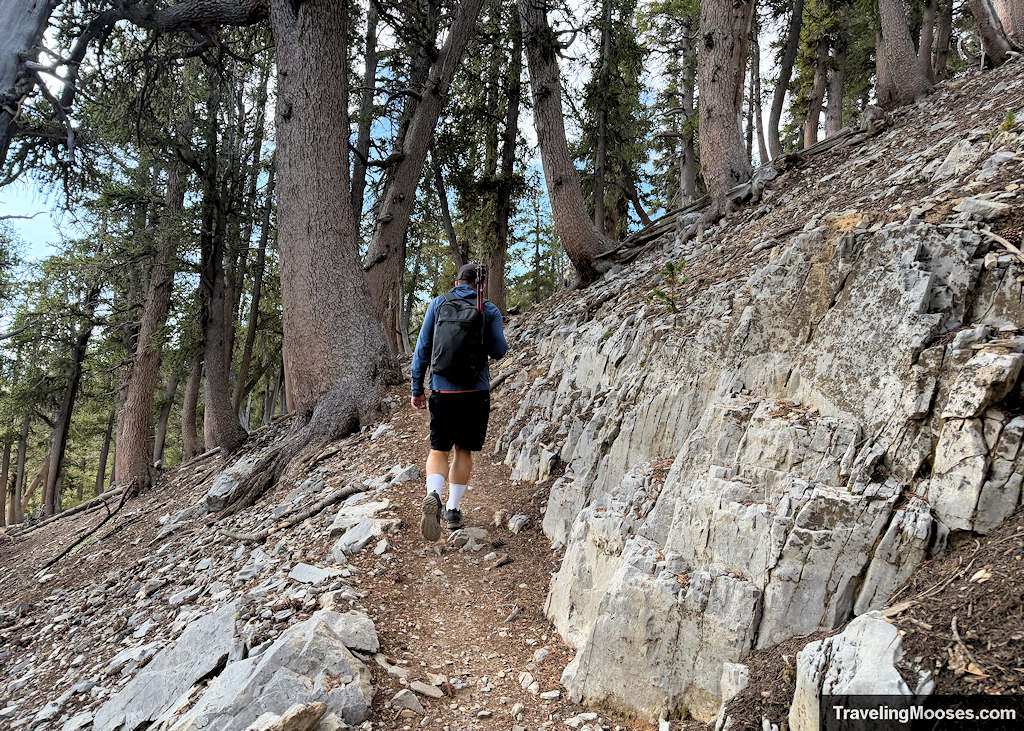 Man walking up switchbacks on a rocky trail