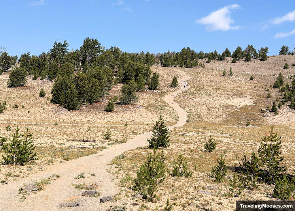 Sandy hiking trail winding uphill through sparse pine trees along the open ridge of Tam McArthur Rim