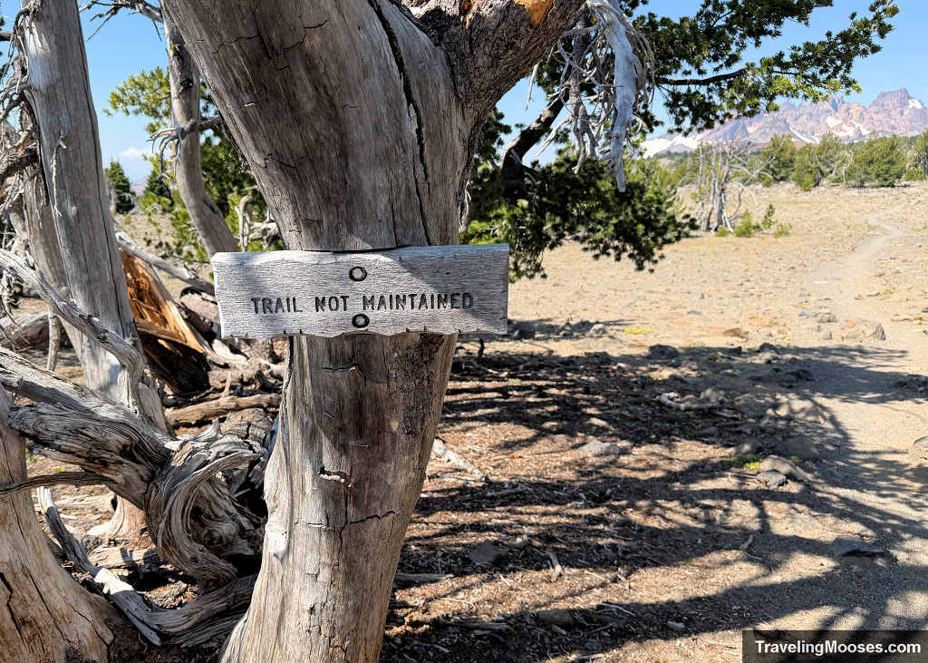 Weathered wooden Trail Not Maintained sign mounted on a gnarled dead pine tree along the Tam McArthur Rim route