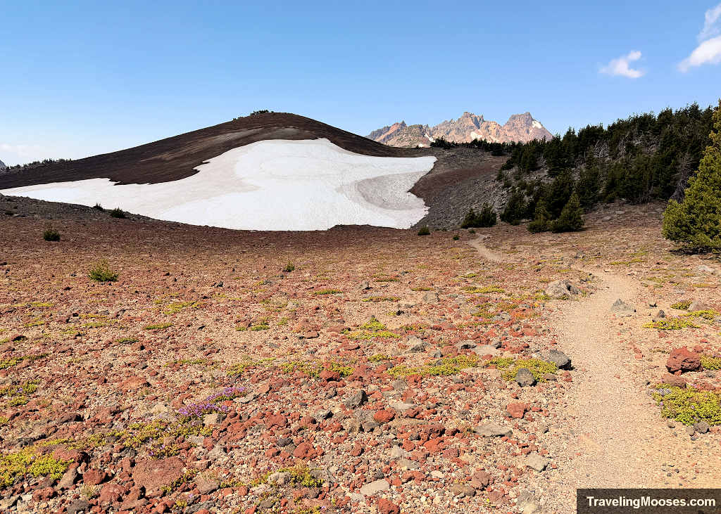 Winding hiking path across red volcanic scree leading toward a lingering summer snowfield and the jagged peaks of Broken Top