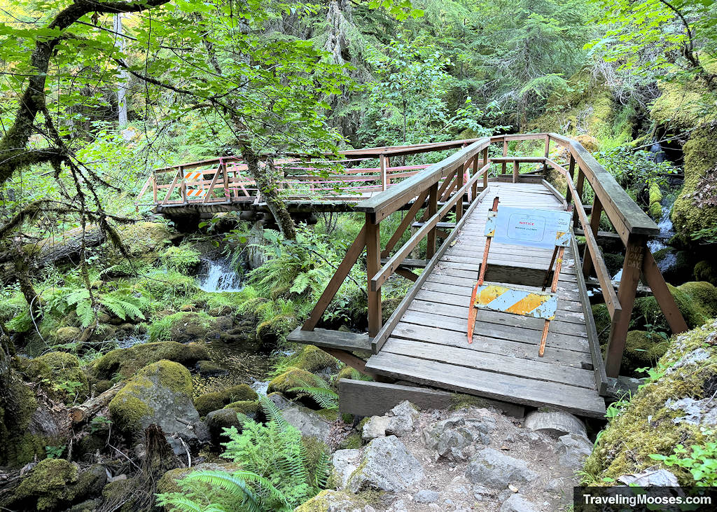 Wooden Bridge damaged and closed in a lush forest