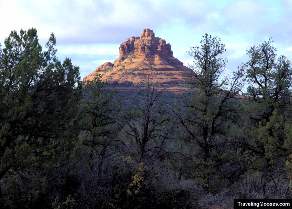 Upper sandstone tier of Bell Rock glowing in direct sunlight above the pinyon-juniper canopy