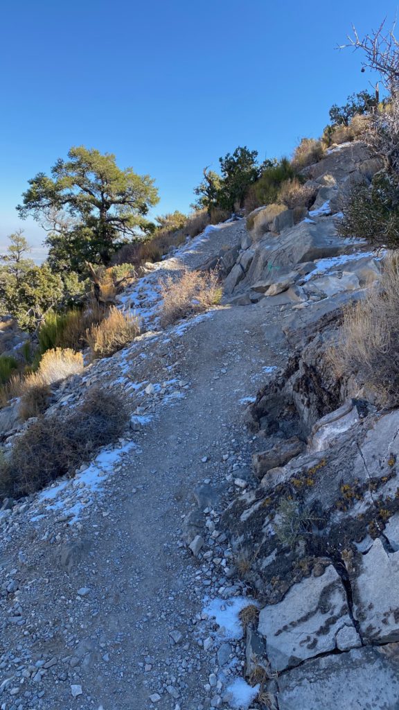 Snow on a desert trail