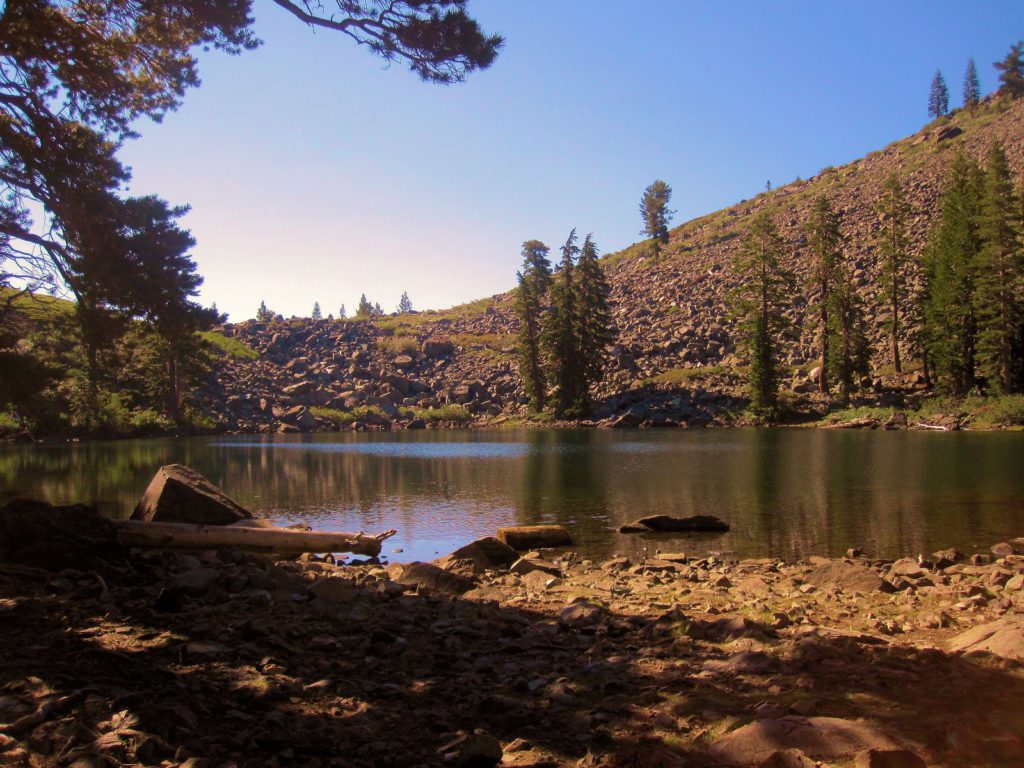 Water on Mt Tallac Trail