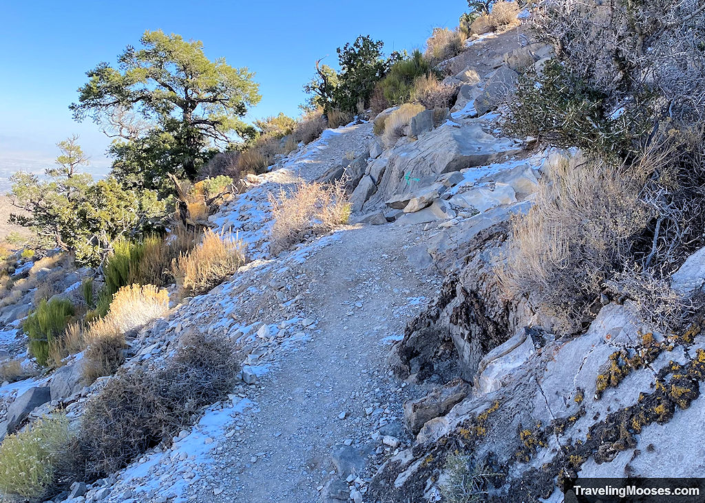 Snow on Turtlehead Peak Trail