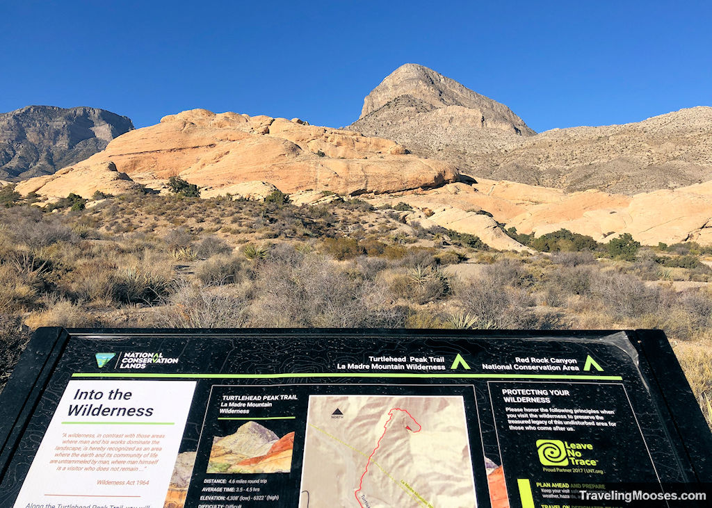 Turtlehead peak trail