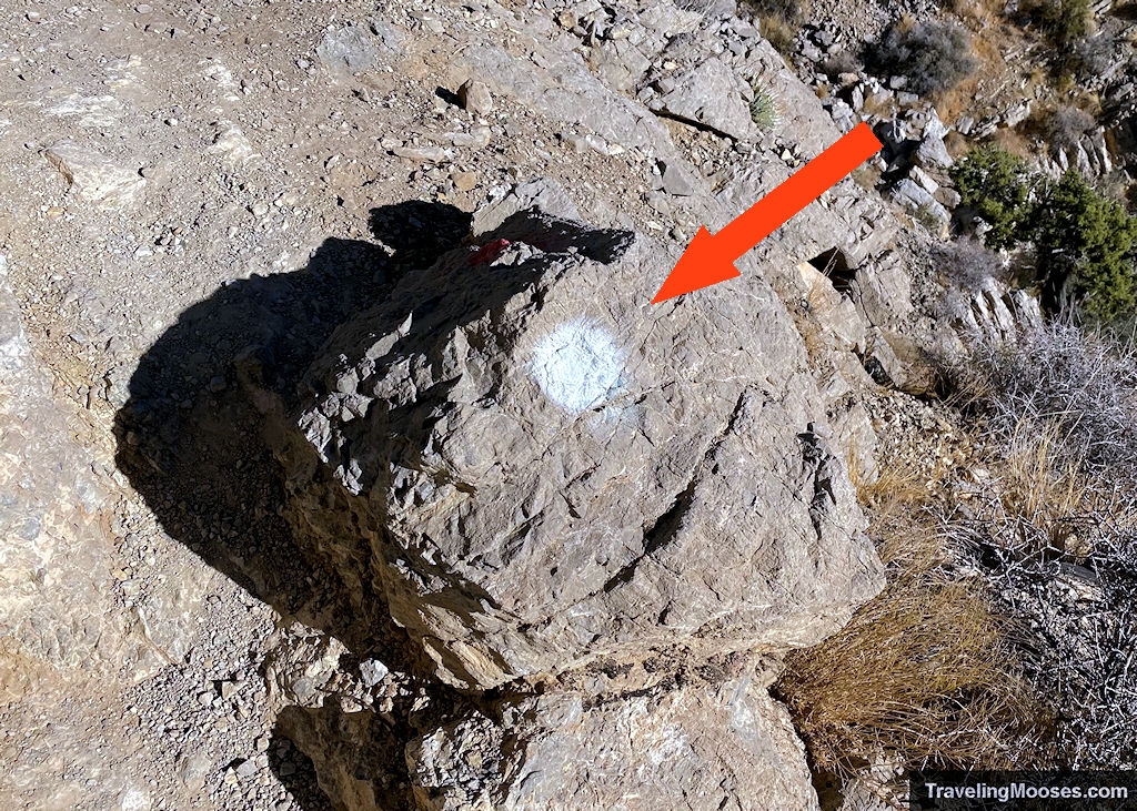 White dot trail marker on Turtlehead peak trail