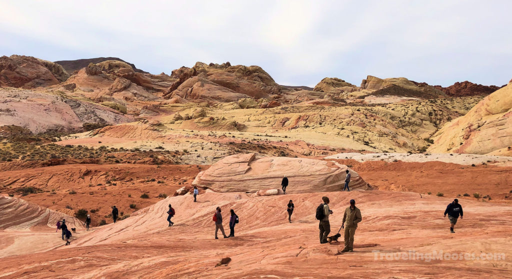 Visitors in the Valley of Fire state park milling around the famed Fire Wave rock formation.