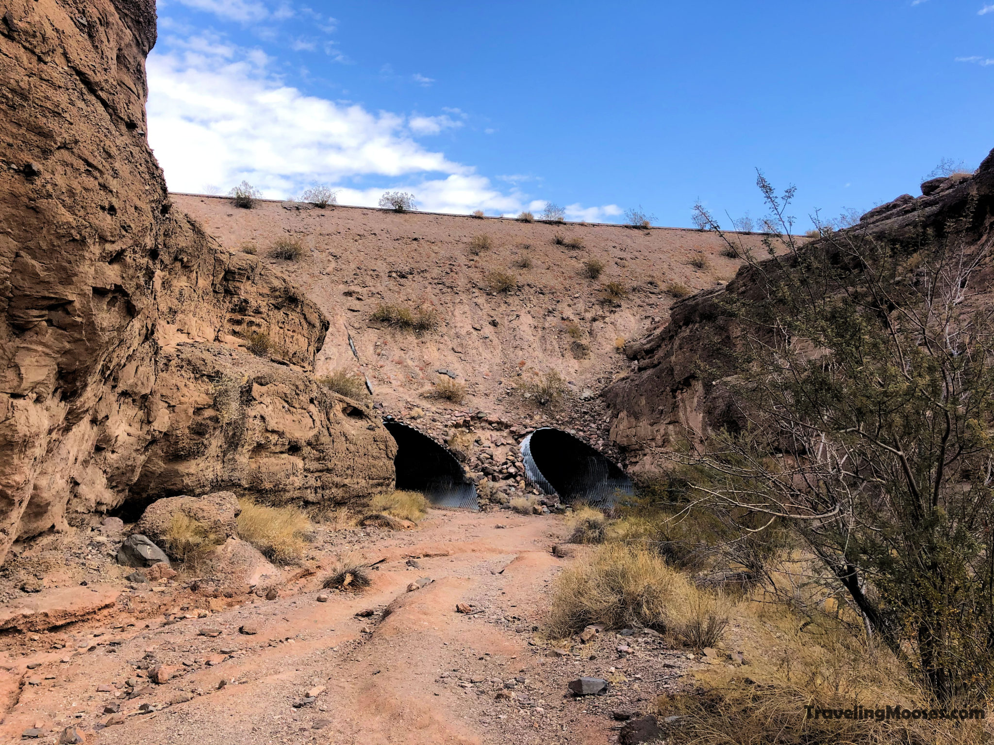 Lake Mead’s Best Secret Hike White Owl Canyon Traveling Mooses