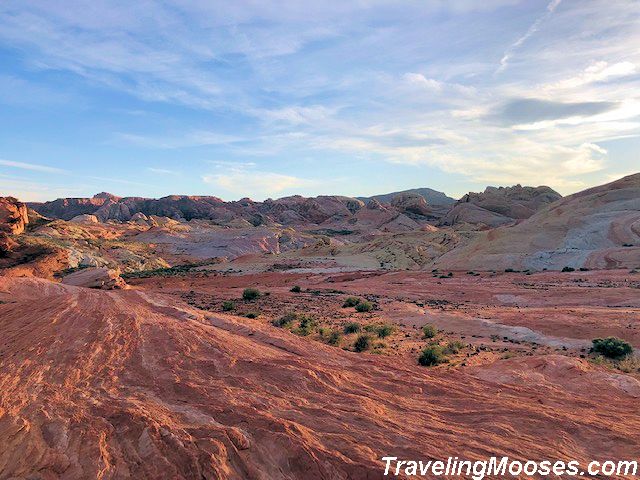 Natural desert landscape on a sunny day with beautiful red sandstone rocks on the desert floor.