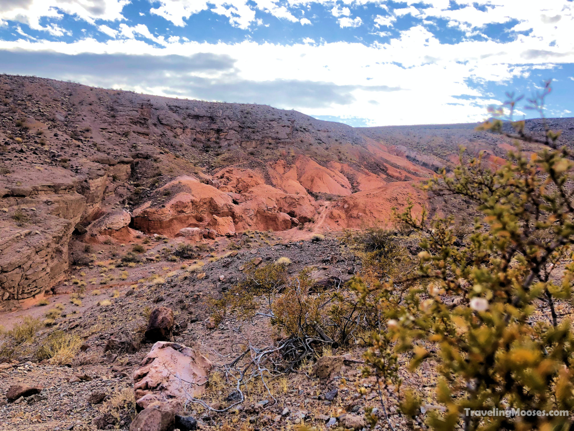 Lake Mead’s Best Secret Hike White Owl Canyon Traveling Mooses