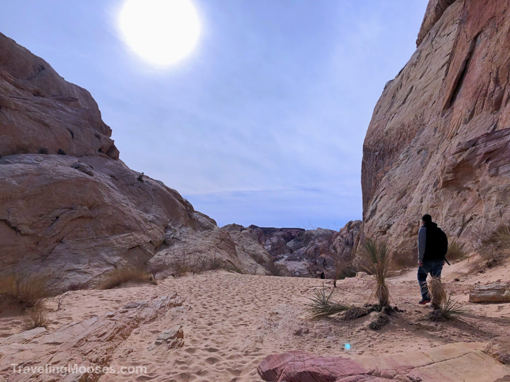 White domes trail