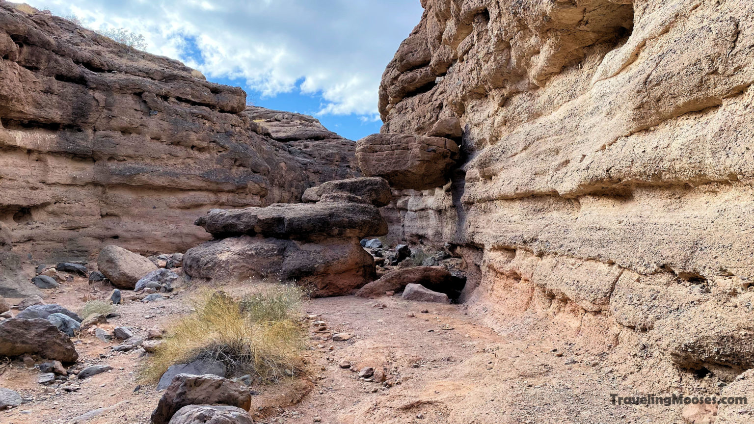 Lake Mead’s Best Secret Hike White Owl Canyon Traveling Mooses