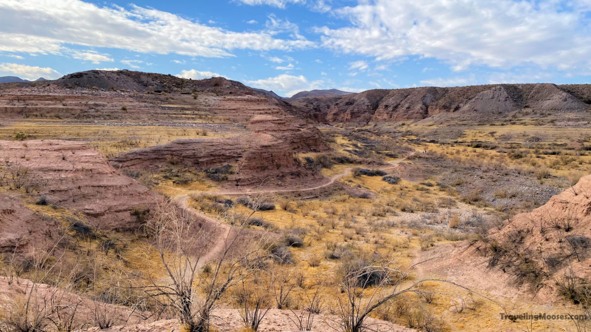 Lake Mead’s Best Secret Hike White Owl Canyon Traveling Mooses