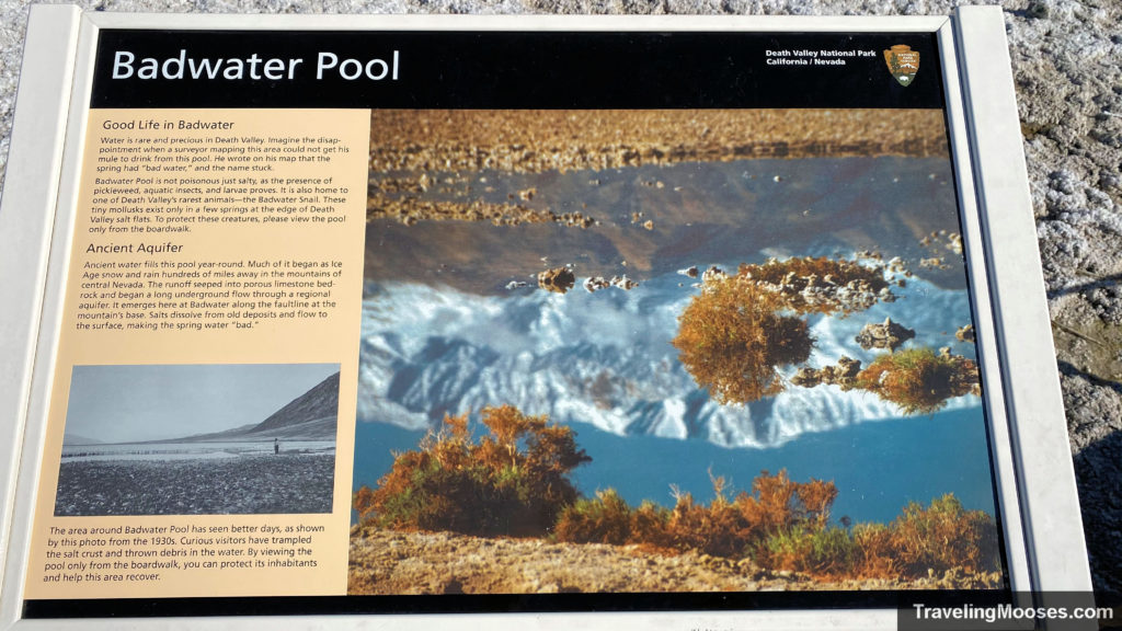 Badwater Pool Interpretive sign