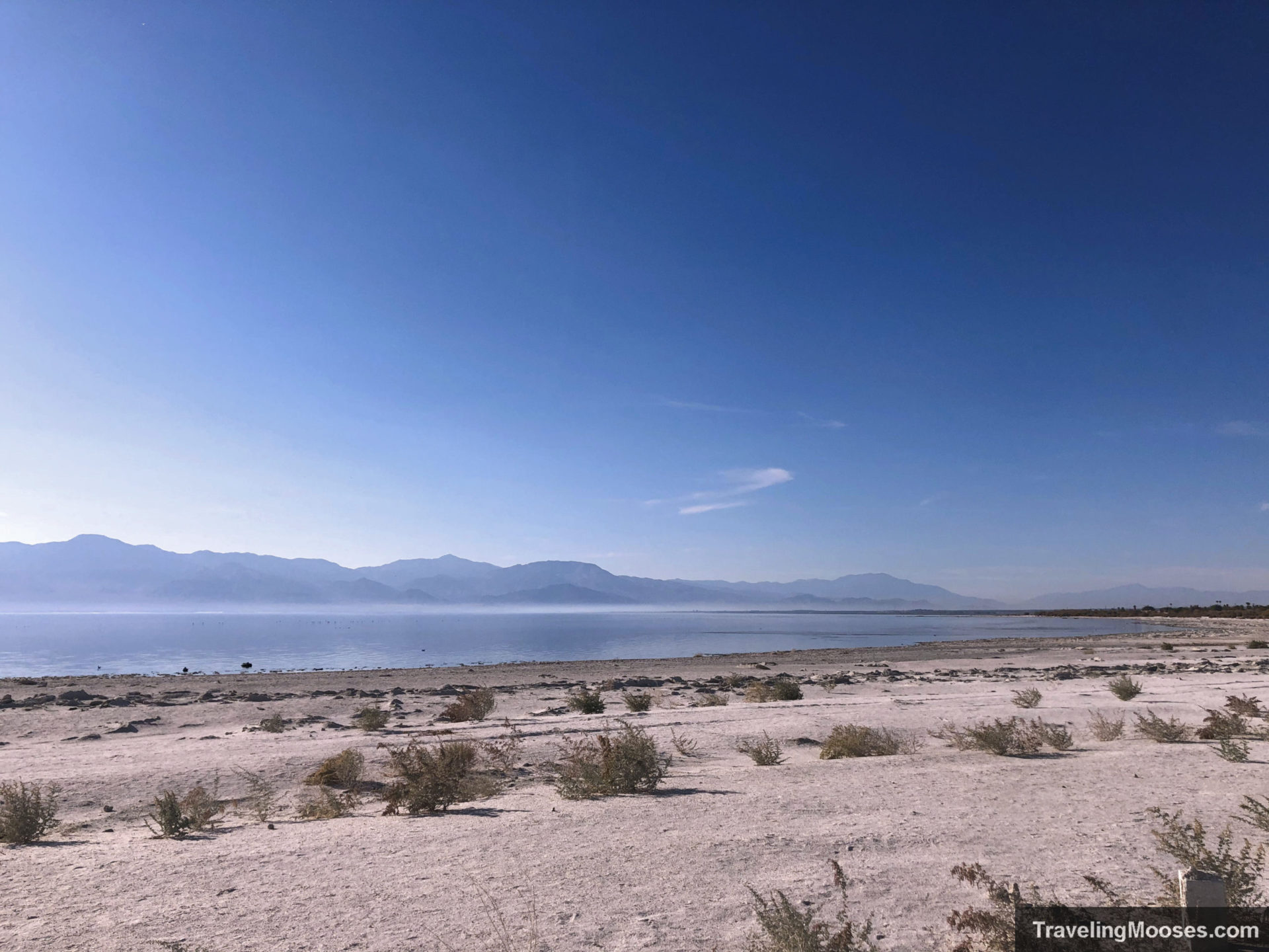 Salton Sea Beach