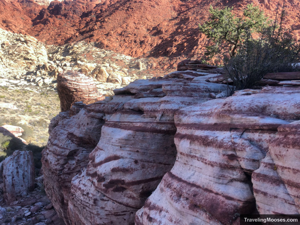 Red and white sandstone rocks on Kraft Mountain loop