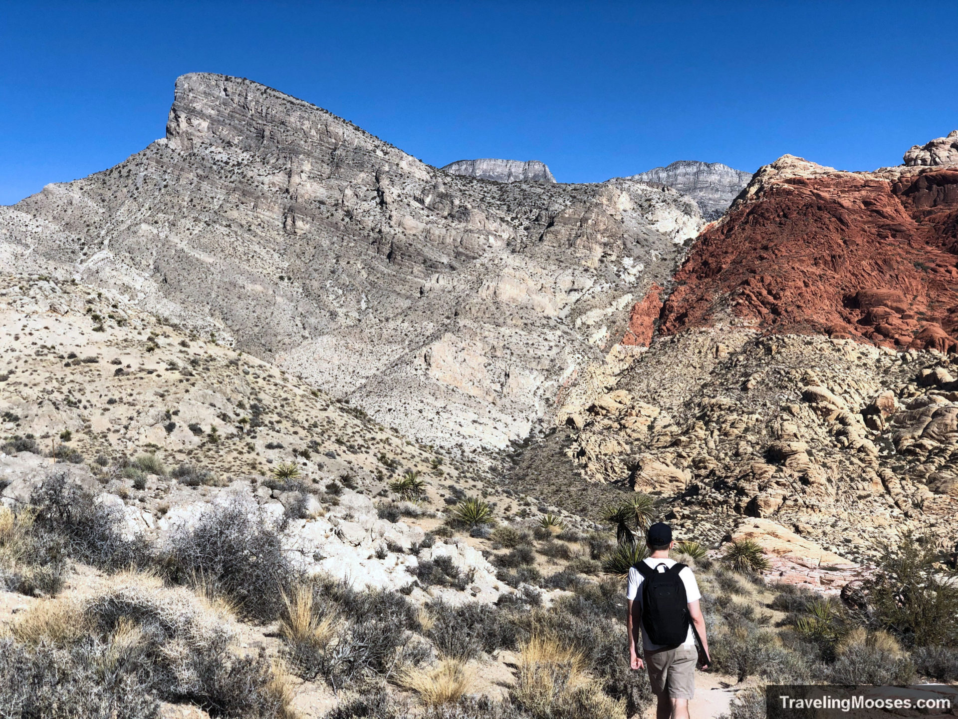 Turtlehead Peak Hike in Red Rock Canyon | Traveling Mooses