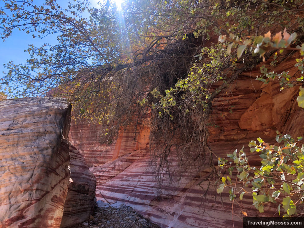 Red and white canyon walls on Kraft Mountain loop