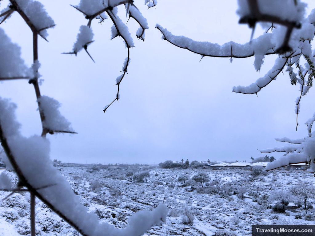 Rare snow in Las Vegas