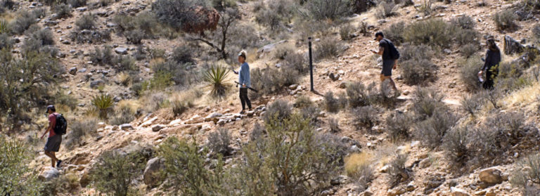 Guardian Angel Pass: A Local’s Hiking Guide