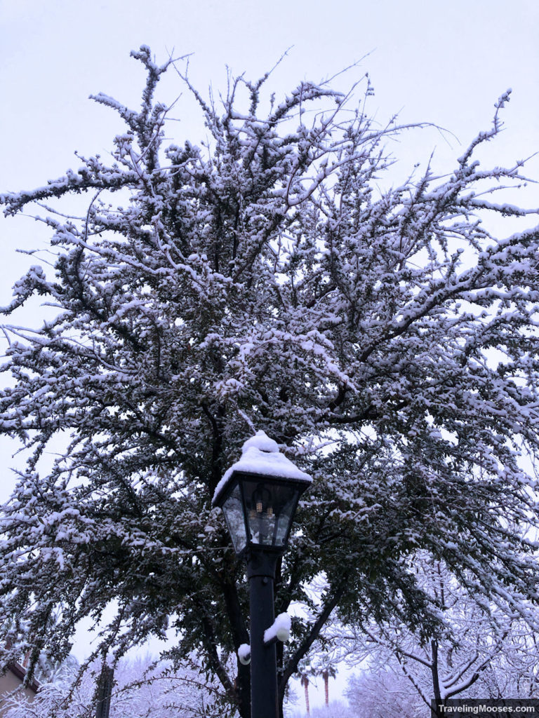 Lightpost covered in snow in Summerlin Las Vegas Nevada