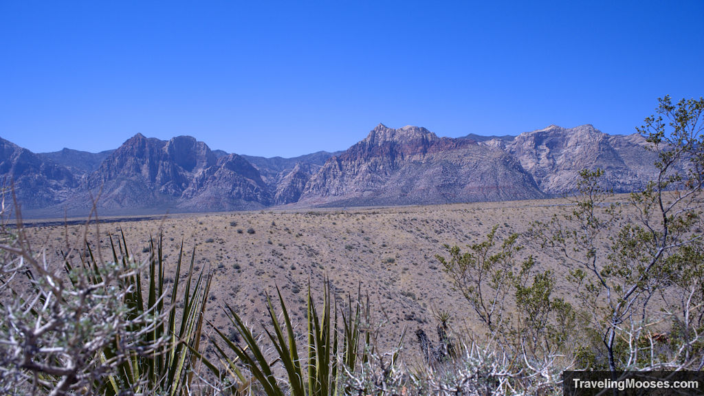 Iconic red rock canyon