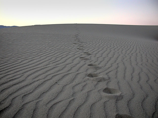 Footsteps in sand