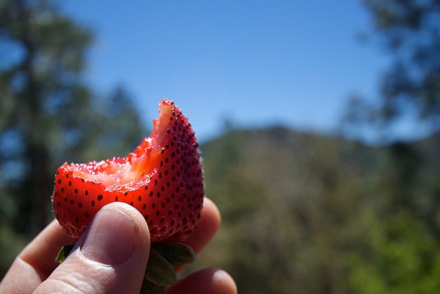 Half eaten strawberry