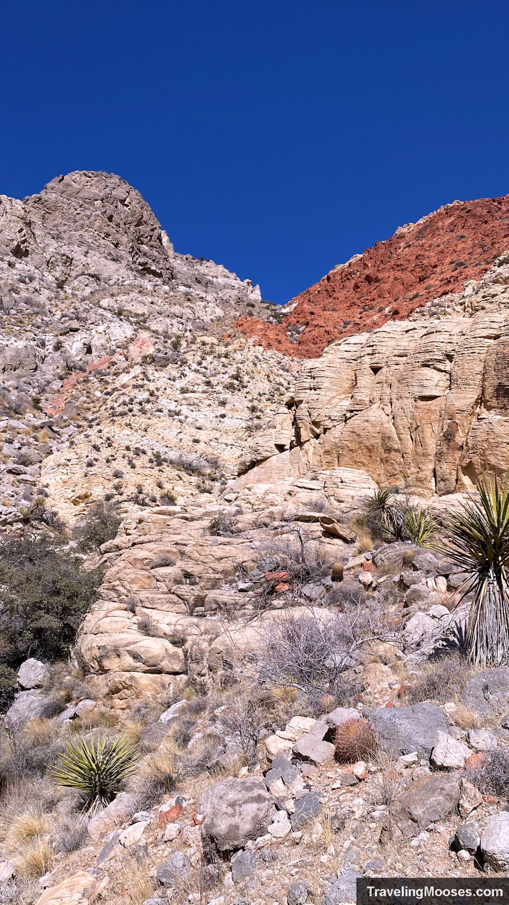 red rocks