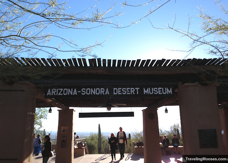 Arizona-sonora Desert Museum Tickets