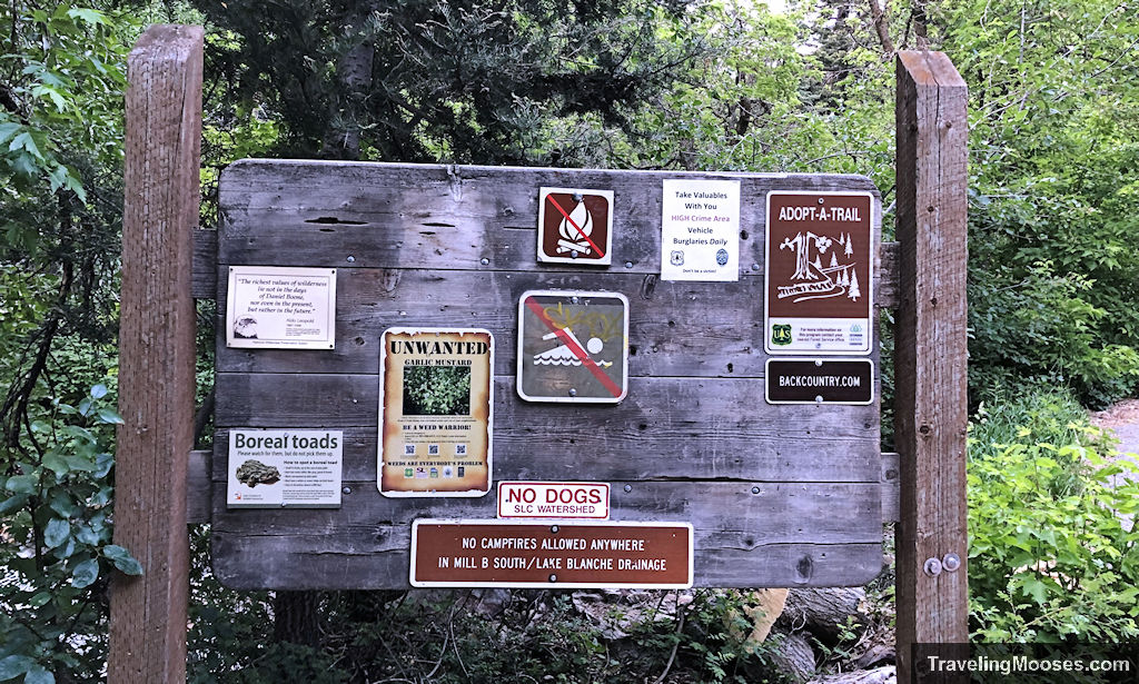 Can you swim in Lake Blanche? 